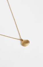 Ariel Gold Shell Necklace Image