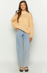 Andrina Yellow Knit Jumper Image