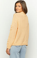 Andrina Yellow Knit Jumper Image