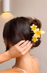 Aria Pink And Yellow Flower Clip 2 Pack Image