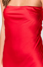 Cassander Red Strapless Maxi Dress Image