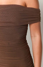 Dalma Brown Mini Dress Image