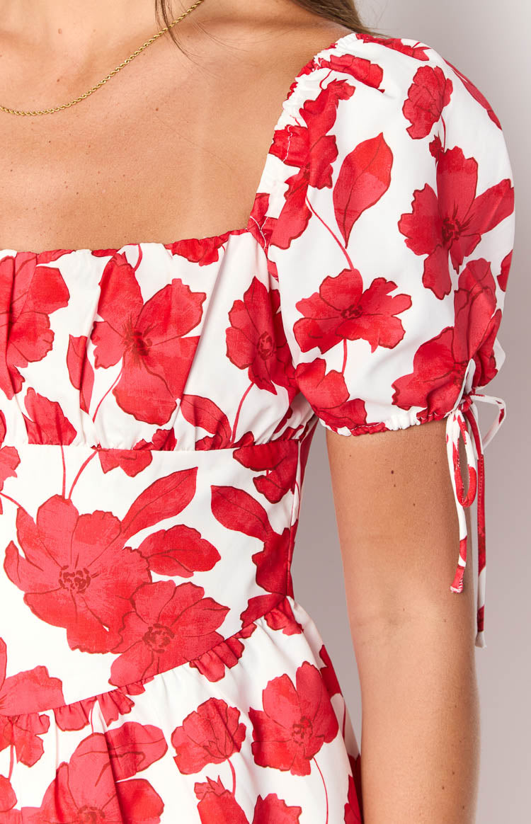 Danyal Red Anemone Floral Print Mini Dress Image