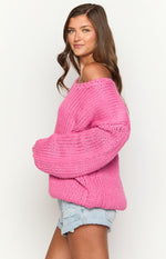 Delvey Hot Pink Chunky Knit Sweater Image