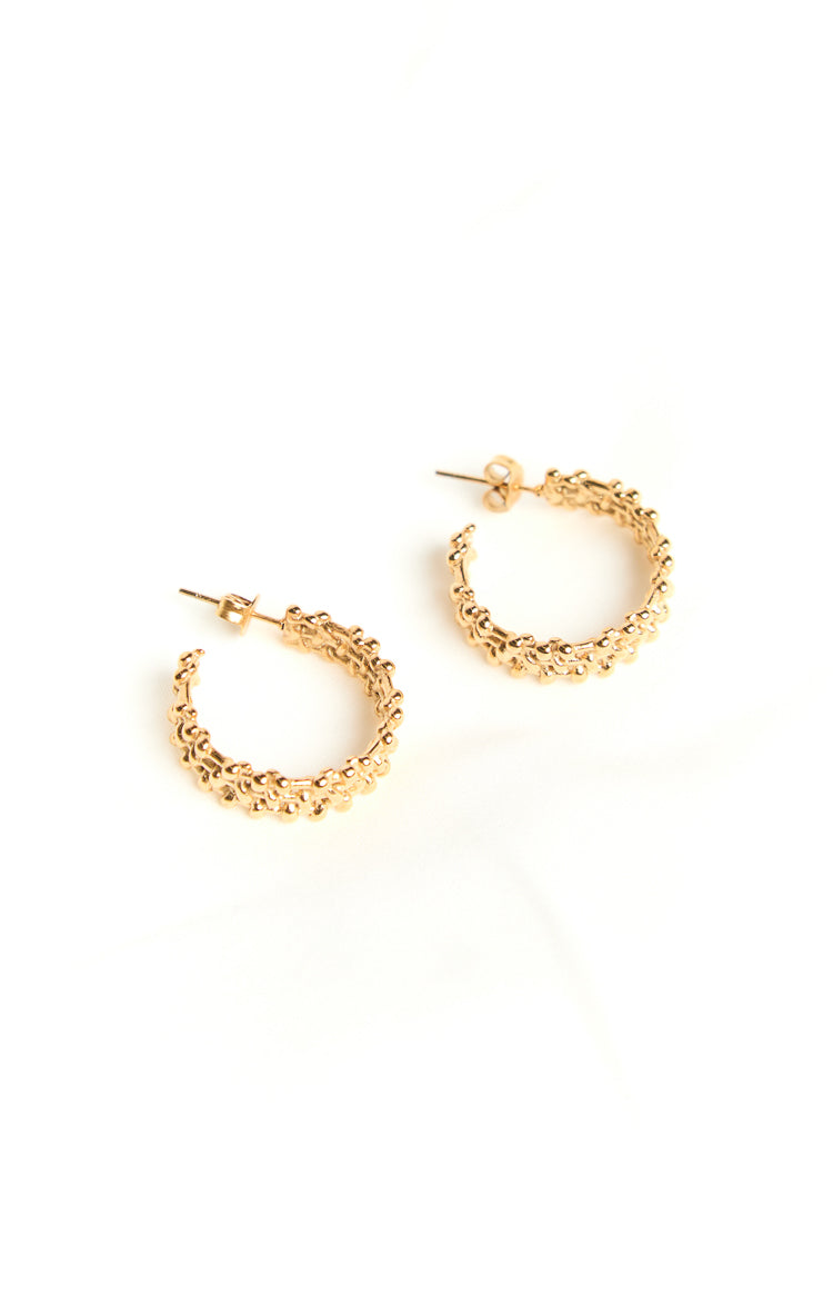 Ellarah Gold Hoop Earrings 2 Pack Image