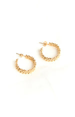 Ellarah Gold Hoop Earrings 2 Pack Image