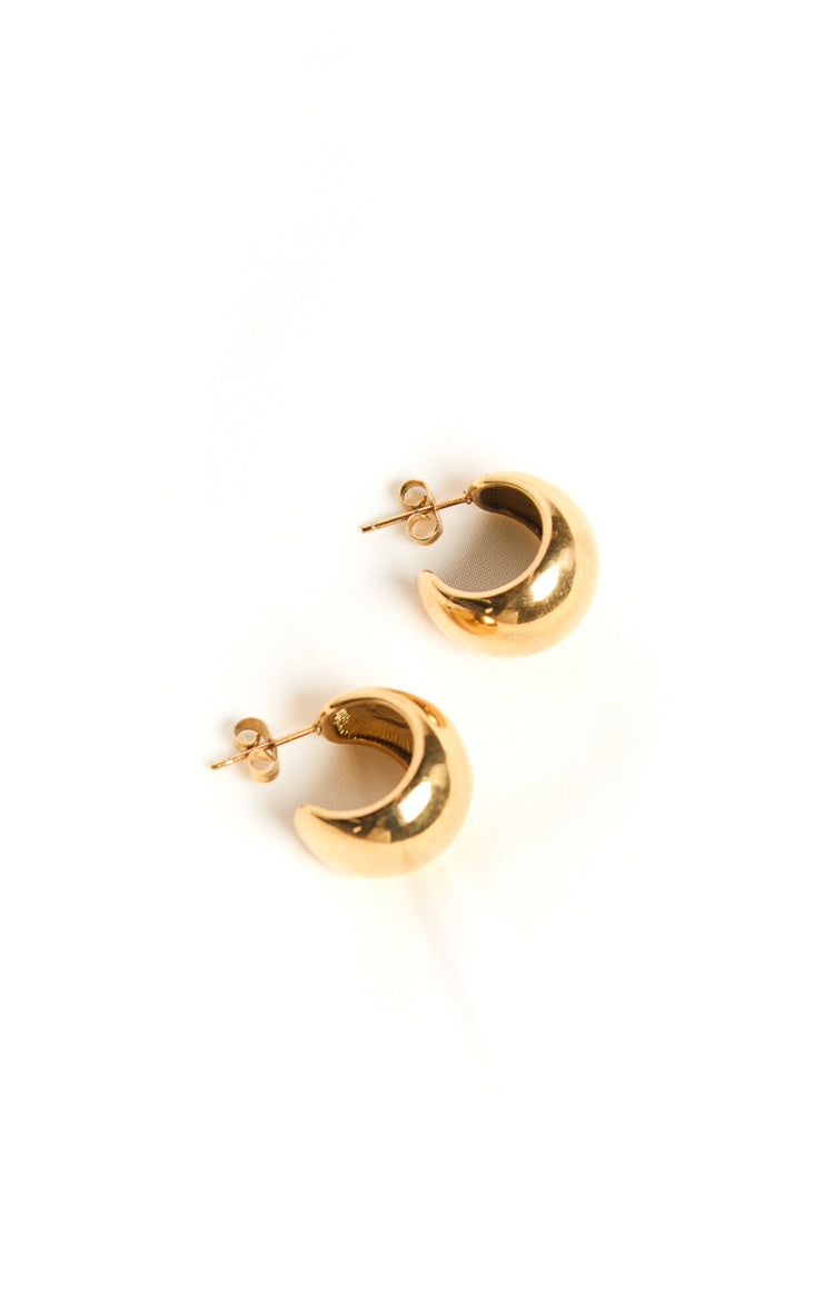 Ellarah Gold Hoop Earrings 2 Pack Image