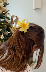 Frangipani Yellow Flower Clip Image