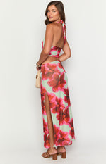 Harvey Green Floral Print Maxi Dress Image