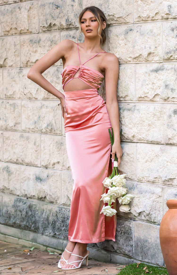 Ivy Dress Blush Image