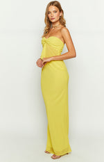 Jacqulin Yellow Maxi Skirt Image