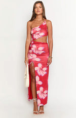 Jaden Red Crimson Paradise Maxi Dress Image