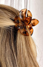 Lysso Brown Flower Clip Image