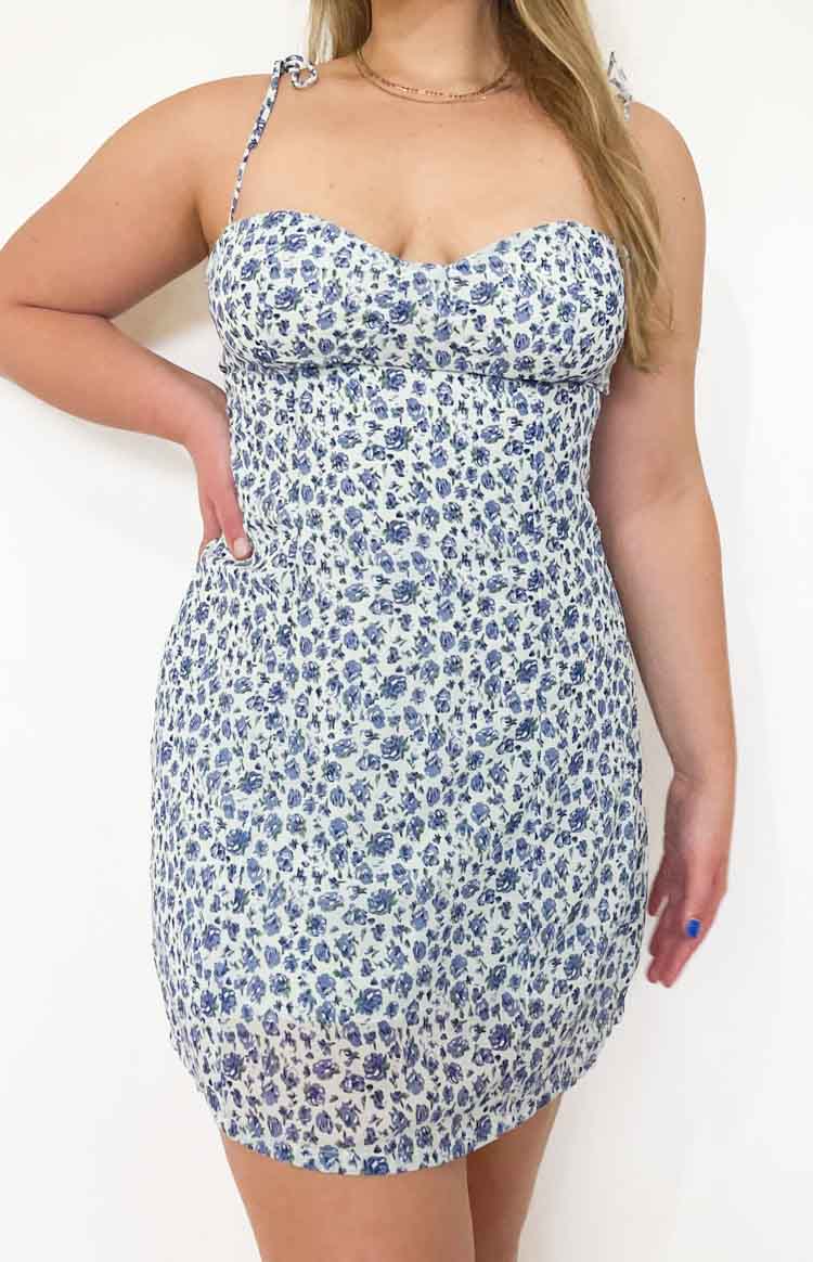 Penny Lane Dress Blue Floral Image