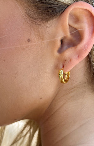 Stardust Gold Hoop Earrings