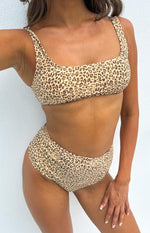 Thrills Mild Animal Square Neck Crop Bikini Top Desert Gold Image