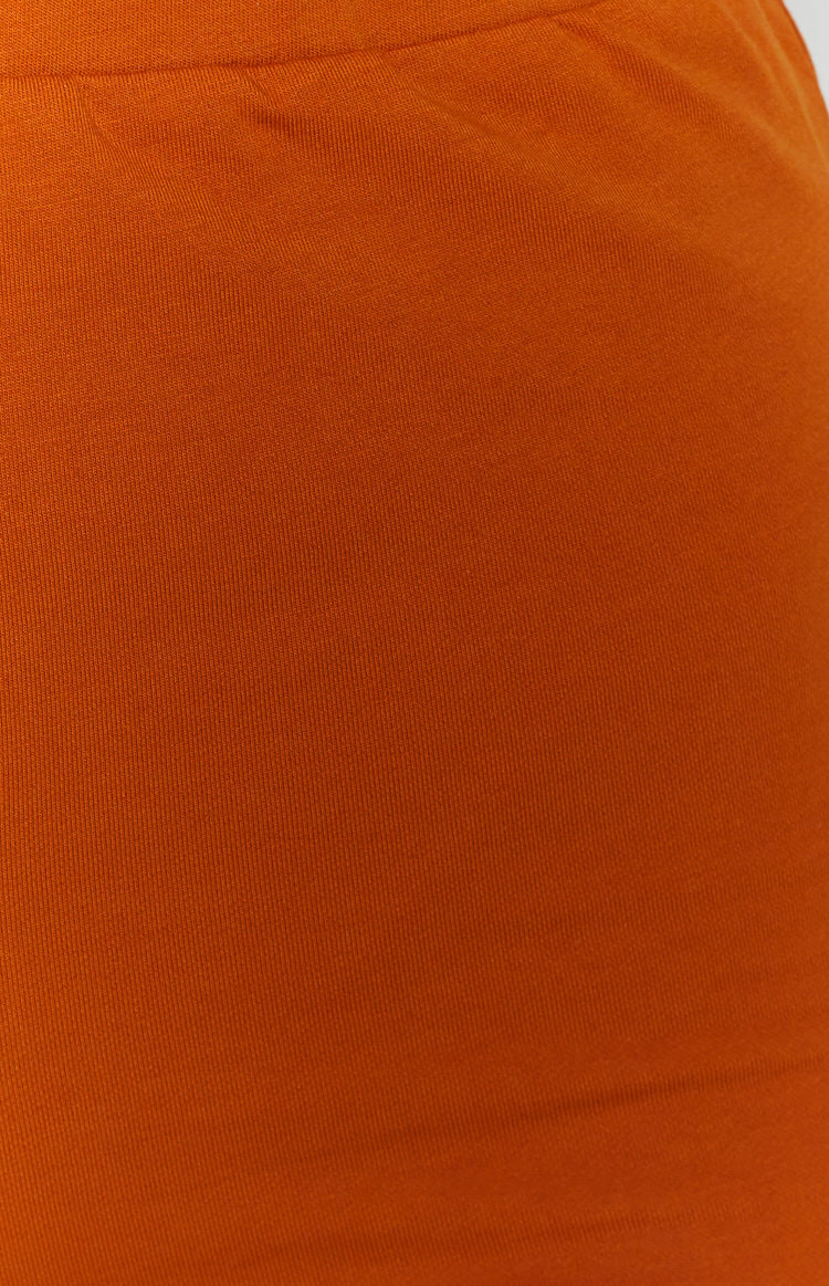 Wellness Shorts Tan Image