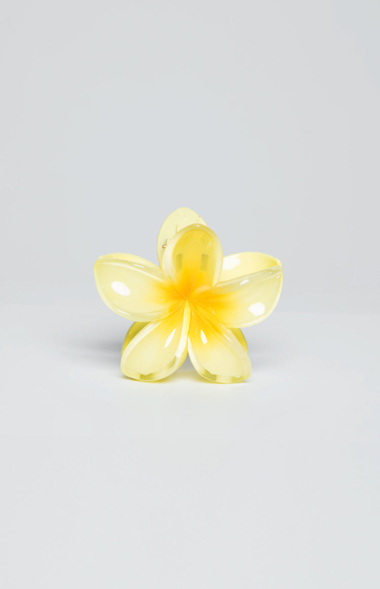 Frangipani Yellow Flower Clip Image