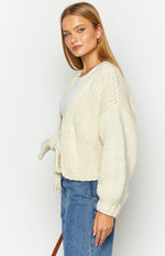 Holiday Cream Tie Up Knit Cardigan Image