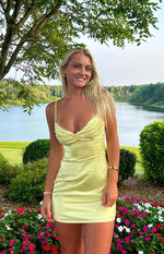 Honey Yellow Mini Dress Image