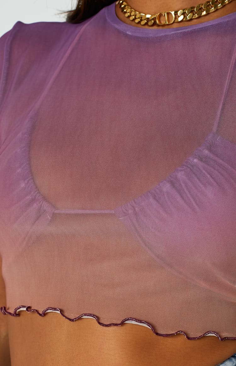 Sunset Purple Mesh Top Image