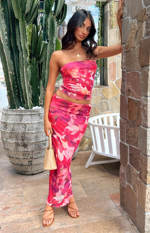 Model with dark hair, standing by a large cactus plant, wearing a hot pink patterned mesh maxi skirt. 