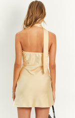 Gemmy Champagne Mini Party Dress Image